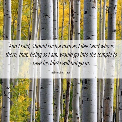 Picture 06 - Nehemiah 6:11 KJV - And I said, Should such a man as I flee? and who - Bible Verse Picture