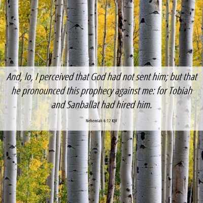 Picture 06 - Nehemiah 6:12 KJV - And, lo, I perceived that God had not sent him; - Bible Verse Picture