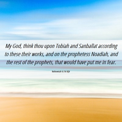 Picture 06 - Nehemiah 6:14 KJV - My God, think thou upon Tobiah and Sanballat - Bible Verse Picture
