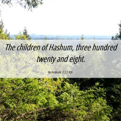 Picture 06 - Nehemiah 7:22 KJV - The children of Hashum, three hundred twenty and - Bible Verse Picture