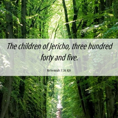 Picture 06 - Nehemiah 7:36 KJV - The children of Jericho, three hundred forty and - Bible Verse Picture