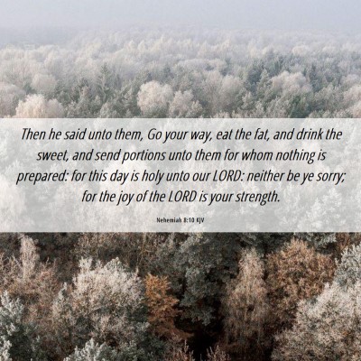 Picture 06 - Nehemiah 8:10 KJV - Then he said unto them, Go your way, eat the fat, - Bible Verse Picture