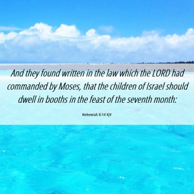 Picture 06 - Nehemiah 8:14 KJV - And they found written in the law which the LORD - Bible Verse Picture