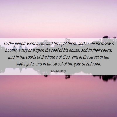 Picture 06 - Nehemiah 8:16 KJV - So the people went forth, and brought them, and - Bible Verse Picture