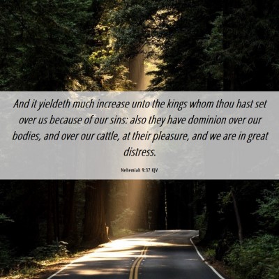 Picture 06 - Nehemiah 9:37 KJV - And it yieldeth much increase unto the kings whom - Bible Verse Picture