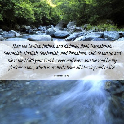 Picture 06 - Nehemiah 9:5 KJV - Then the Levites, Jeshua, and Kadmiel, Bani, - Bible Verse Picture