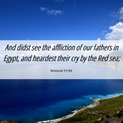 Picture 06 - Nehemiah 9:9 KJV - And didst see the affliction of our fathers in - Bible Verse Picture
