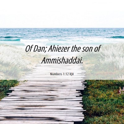 Picture 06 - Numbers 1:12 KJV - Of Dan; Ahiezer the son of - Bible Verse Picture