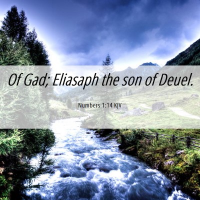 Picture 06 - Numbers 1:14 KJV - Of Gad; Eliasaph the son of - Bible Verse Picture