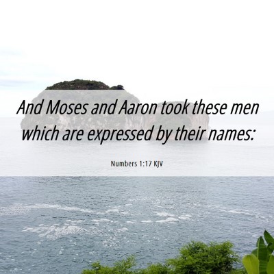 Picture 06 - Numbers 1:17 KJV - And Moses and Aaron took these men which are - Bible Verse Picture