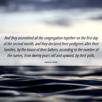 Picture 06 - Numbers 1:18 KJV - And they assembled all the congregation together - Bible Verse Picture