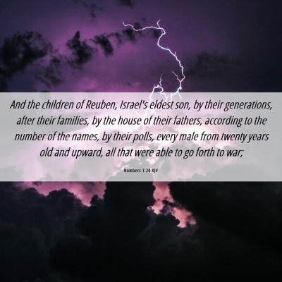 Picture 06 - Numbers 1:20 KJV - And the children of Reuben, Israel's eldest son, - Bible Verse Picture