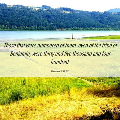 Picture 06 - Numbers 1:37 KJV - Those that were numbered of them, even of the - Bible Verse Picture