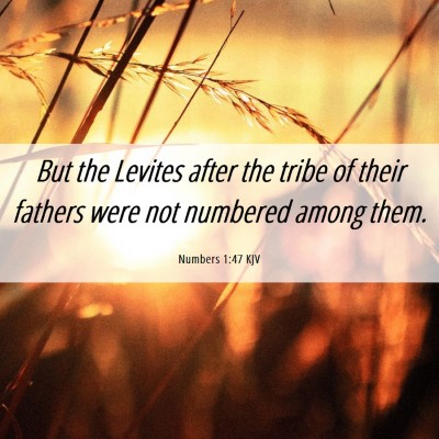 Picture 06 - Numbers 1:47 KJV - But the Levites after the tribe of their fathers - Bible Verse Picture