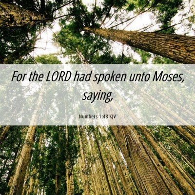 Picture 06 - Numbers 1:48 KJV - For the LORD had spoken unto Moses, - Bible Verse Picture
