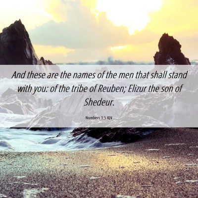 Picture 06 - Numbers 1:5 KJV - And these are the names of the men that shall - Bible Verse Picture