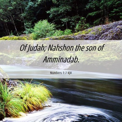 Picture 06 - Numbers 1:7 KJV - Of Judah; Nahshon the son of - Bible Verse Picture