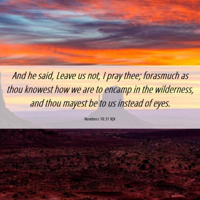 Picture 06 - Numbers 10:31 KJV - And he said, Leave us not, I pray thee; forasmuch - Bible Verse Picture