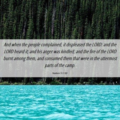 Picture 06 - Numbers 11:1 KJV - And when the people complained, it displeased the - Bible Verse Picture