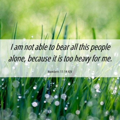 Picture 06 - Numbers 11:14 KJV - I am not able to bear all this people alone, - Bible Verse Picture