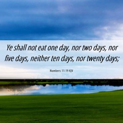 Picture 06 - Numbers 11:19 KJV - Ye shall not eat one day, nor two days, nor five - Bible Verse Picture