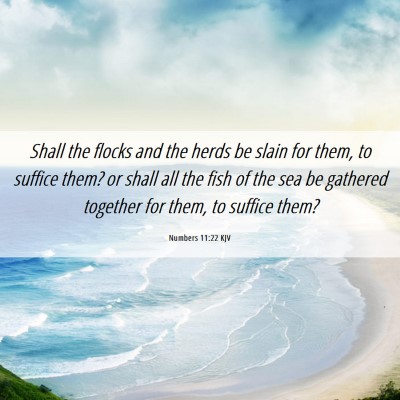 Picture 06 - Numbers 11:22 KJV - Shall the flocks and the herds be slain for them, - Bible Verse Picture