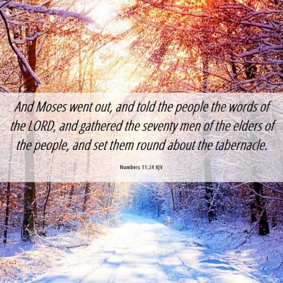 Picture 06 - Numbers 11:24 KJV - And Moses went out, and told the people the words - Bible Verse Picture