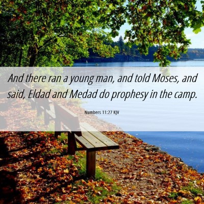 Picture 06 - Numbers 11:27 KJV - And there ran a young man, and told Moses, and - Bible Verse Picture