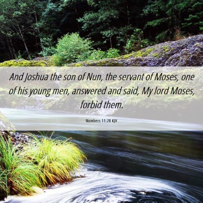 Picture 06 - Numbers 11:28 KJV - And Joshua the son of Nun, the servant of Moses, - Bible Verse Picture