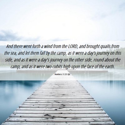 Picture 06 - Numbers 11:31 KJV - And there went forth a wind from the LORD, and - Bible Verse Picture