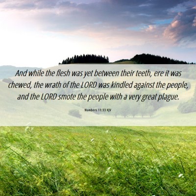 Picture 06 - Numbers 11:33 KJV - And while the flesh was yet between their teeth, - Bible Verse Picture