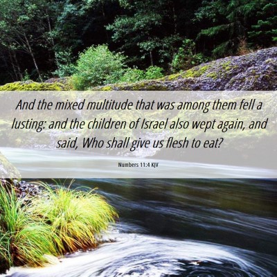 Picture 06 - Numbers 11:4 KJV - And the mixed multitude that was among them fell - Bible Verse Picture