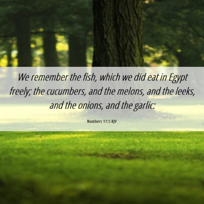 Picture 06 - Numbers 11:5 KJV - We remember the fish, which we did eat in Egypt - Bible Verse Picture