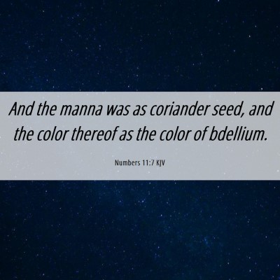 Picture 06 - Numbers 11:7 KJV - And the manna was as coriander seed, and the - Bible Verse Picture