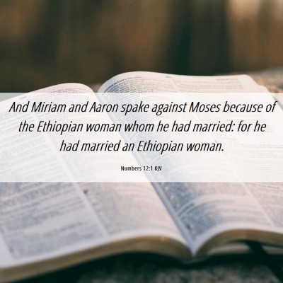 Picture 06 - Numbers 12:1 KJV - And Miriam and Aaron spake against Moses because - Bible Verse Picture