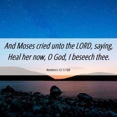 Picture 06 - Numbers 12:13 KJV - And Moses cried unto the LORD, saying, Heal her - Bible Verse Picture