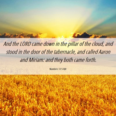 Picture 06 - Numbers 12:5 KJV - And the LORD came down in the pillar of the - Bible Verse Picture
