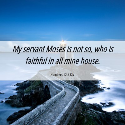 Picture 06 - Numbers 12:7 KJV - My servant Moses is not so, who is faithful in - Bible Verse Picture