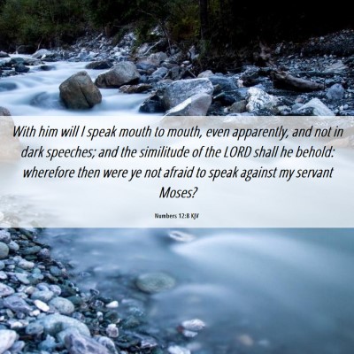 Picture 06 - Numbers 12:8 KJV - With him will I speak mouth to mouth, even - Bible Verse Picture