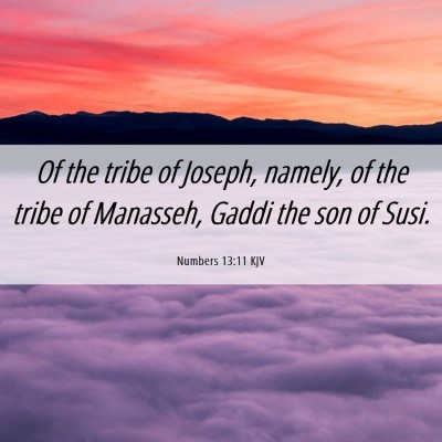 Picture 06 - Numbers 13:11 KJV - Of the tribe of Joseph, namely, of the tribe of - Bible Verse Picture