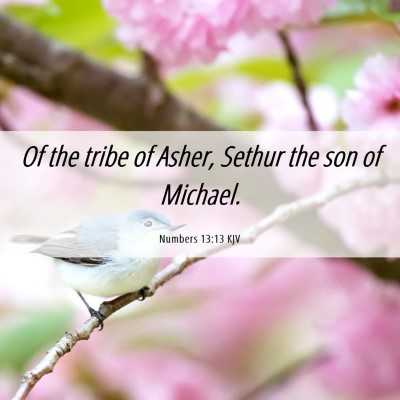 Picture 06 - Numbers 13:13 KJV - Of the tribe of Asher, Sethur the son of - Bible Verse Picture