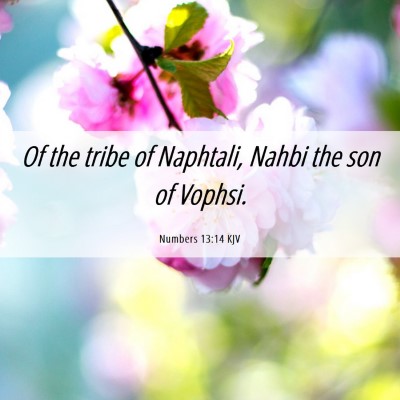 Picture 06 - Numbers 13:14 KJV - Of the tribe of Naphtali, Nahbi the son of - Bible Verse Picture