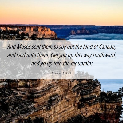 Picture 06 - Numbers 13:17 KJV - And Moses sent them to spy out the land of - Bible Verse Picture