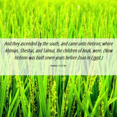 Picture 06 - Numbers 13:22 KJV - And they ascended by the south, and came unto - Bible Verse Picture