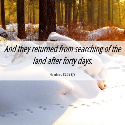Picture 06 - Numbers 13:25 KJV - And they returned from searching of the land - Bible Verse Picture