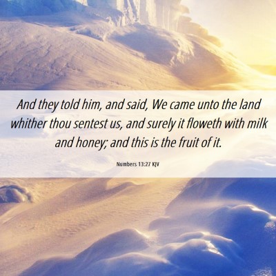 Picture 06 - Numbers 13:27 KJV - And they told him, and said, We came unto the - Bible Verse Picture