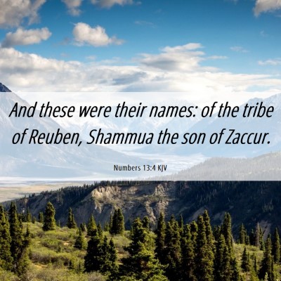 Picture 06 - Numbers 13:4 KJV - And these were their names: of the tribe of - Bible Verse Picture