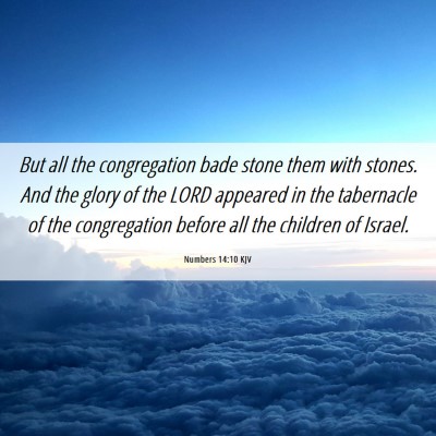 Picture 06 - Numbers 14:10 KJV - But all the congregation bade stone them with - Bible Verse Picture
