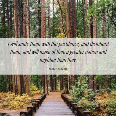 Picture 06 - Numbers 14:12 KJV - I will smite them with the pestilence, and - Bible Verse Picture