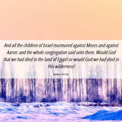 Picture 06 - Numbers 14:2 KJV - And all the children of Israel murmured against - Bible Verse Picture
